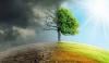 Environmental Changes