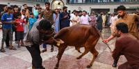 Eid Ul Azha