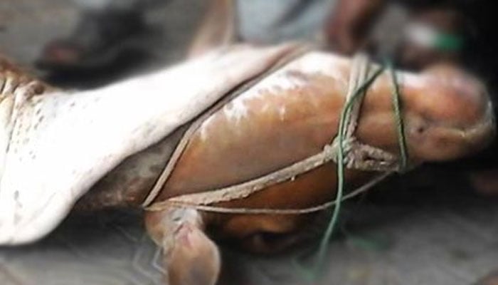 ’’قُربانی‘‘ صرف اللہ کی رضا اور اُس کے قُرب کے لیے