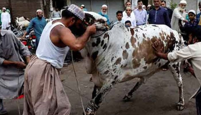 جذبہ قربانی (سُنتِ ابراہیمی کے تناظر میں)