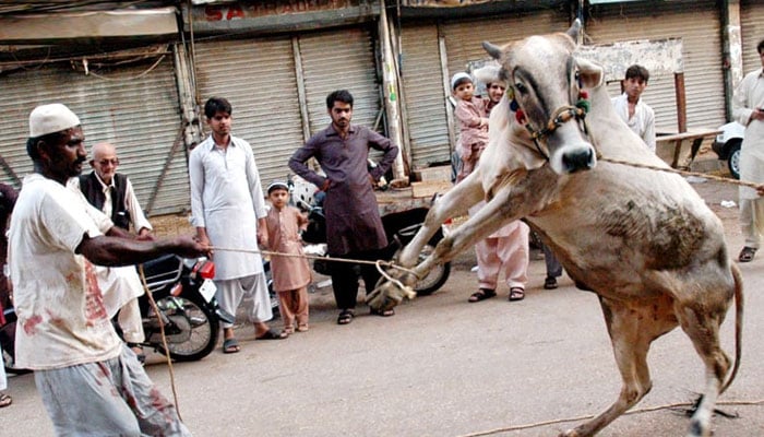 فلسفہ قربانی اور اُس کی حقیقت