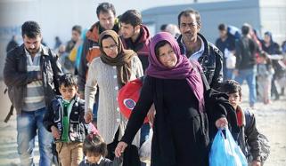 Migration