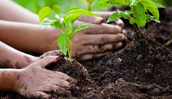 Environmental Changes