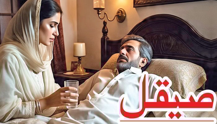 ڈائجسٹ: صیقل