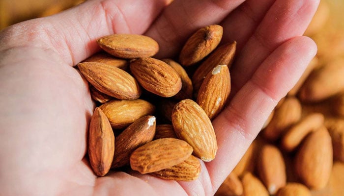 وہ غذائیں جن میں چھپا ہےخوبصورت بالوں کا راز