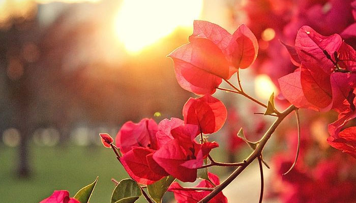 غزل: ہر دن سے معافی، ہر اِک رات سے توبہ ...