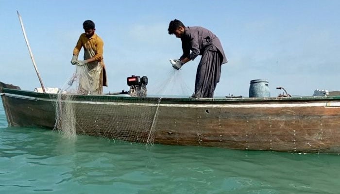 ماہی گیروں کے ساتھ مچھلیوں کے کاروبار میں شرکت