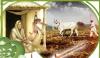 Urdu Digest