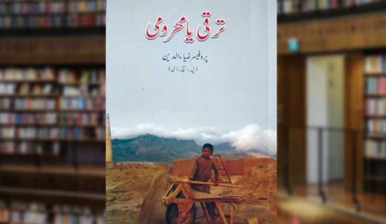 Book Review