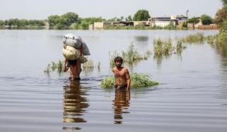 Environmental Change