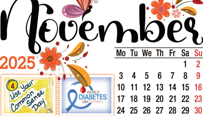 کامن سینس کے استعمال سے پائے دار ٹرانسپورٹ کے عالم گیر یوم تک