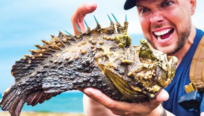 دل چسپ معلومات