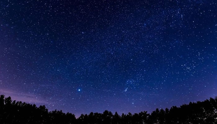 جگمگ کرتے ننھے تارے