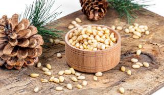 Pine Nuts