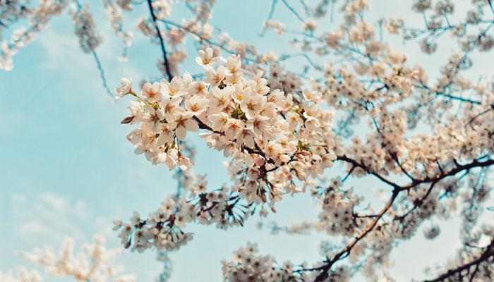 غزل: روشنی تیرگی کی زد میں ہے ...