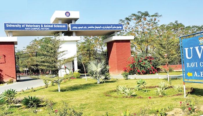 لاہور کے تعلیمی اداروں میں پوشیدہ دل چسپ تاریخ