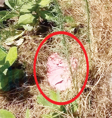 ’’کھلونے ٹوٹتے رہے‘‘ معاشرے کی آنکھیں مسلسل بند ہیں لیکن بچوں کا درد بڑھتا جارہا ہے