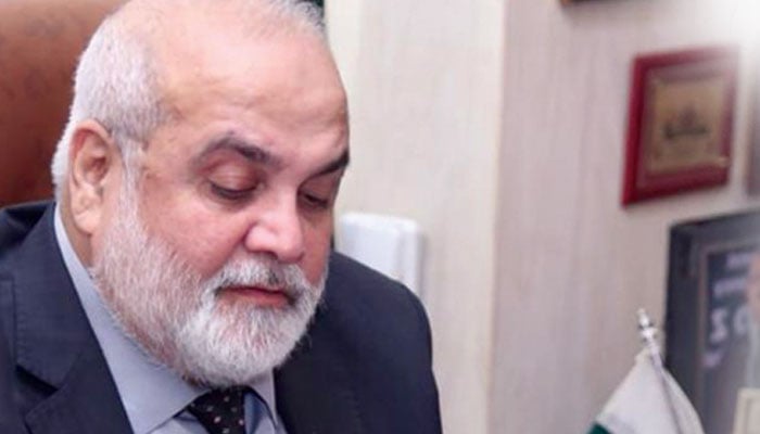 آہ! میرا شاندار بھائی، ہمارا چھتنار سایہ