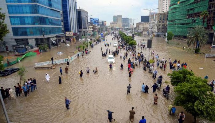 وہ روشنی، وہ رنگ، وہ چہرہ نہیں رہا