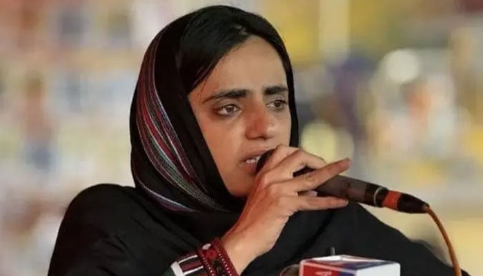 چپ رہ کر بھی نظر میں ہیں