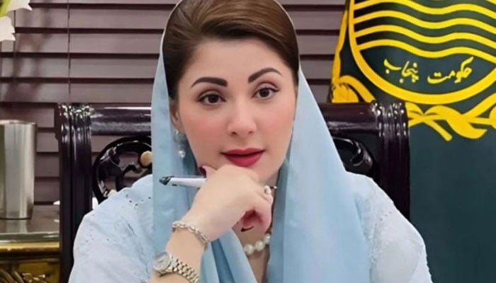 چپ رہ کر بھی نظر میں ہیں