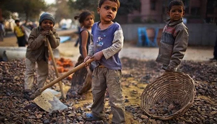 شب سیاہ میں جلے چند چراغ