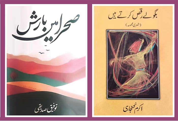 شاعری، پورے وجود کی آواز