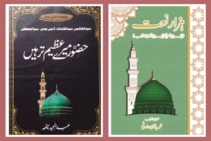 شاعری، پورے وجود کی آواز