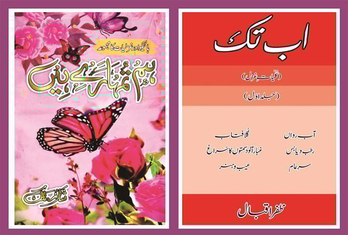 شاعری، پورے وجود کی آواز