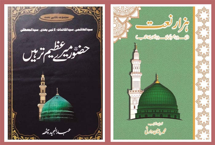 شاعری، پورے وجود کی آواز