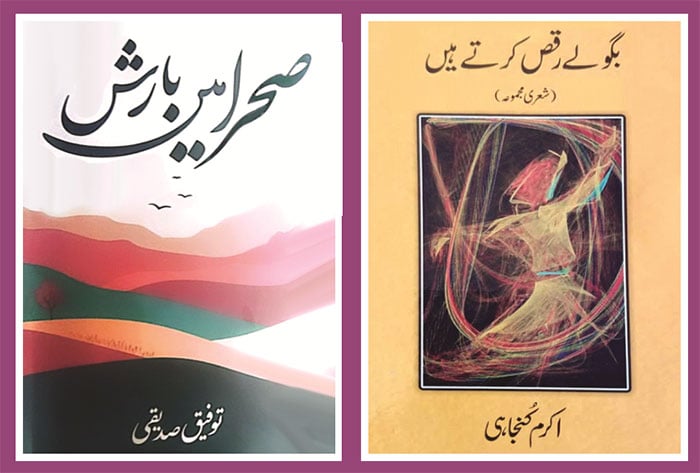 شاعری، پورے وجود کی آواز