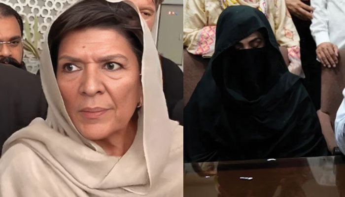 تیرے خراب کردہ بہت ہیں، دلِ خراب…