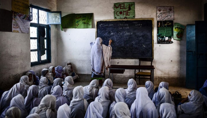 ذرا سا گملا ہے، اِس میں شجر لگے گا نہیں...