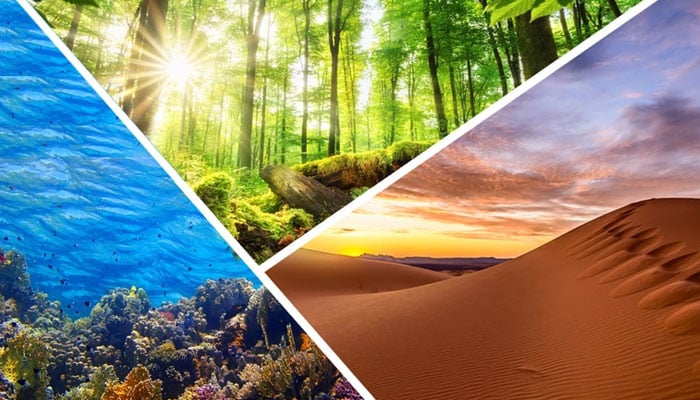 ’’ایکوسسٹم‘‘ جاندار اور غیرجاندار اشیاء کے توازن اور ماحول کا ایک قدرتی وسیلہ