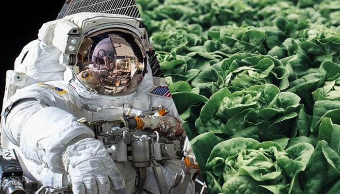 سائنسی خبر نامہ