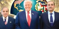 International Politics