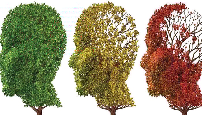 دماغ کو طویل عمر تک صحت مند رکھیں... مگر کیسے؟