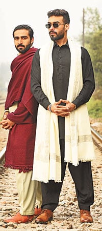 نرم و گرم شالز ... شاہانہ، پروقار انداز، گرمائش بھرا احساس