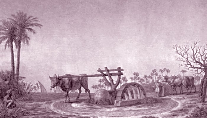 اسلامی خلافتوں کی ماحولیاتی پالیسی