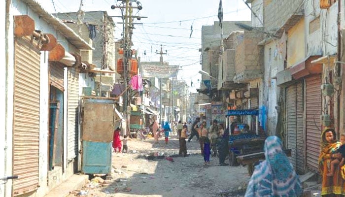 مچھر کالونی