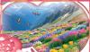 Urdu Digest