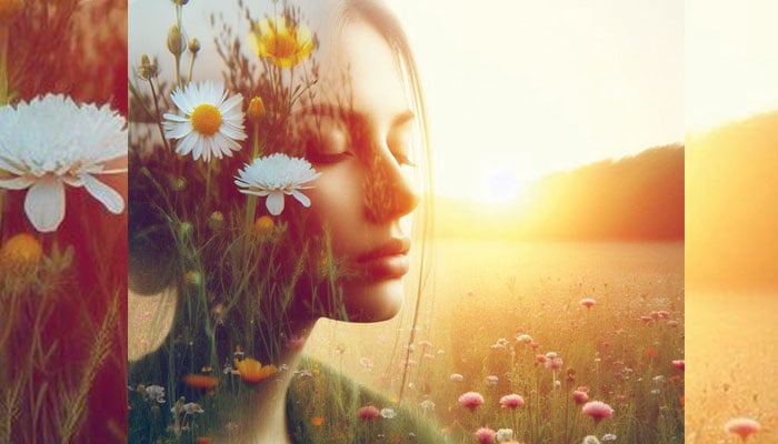 ڈائجسٹ: مسبب الاسباب