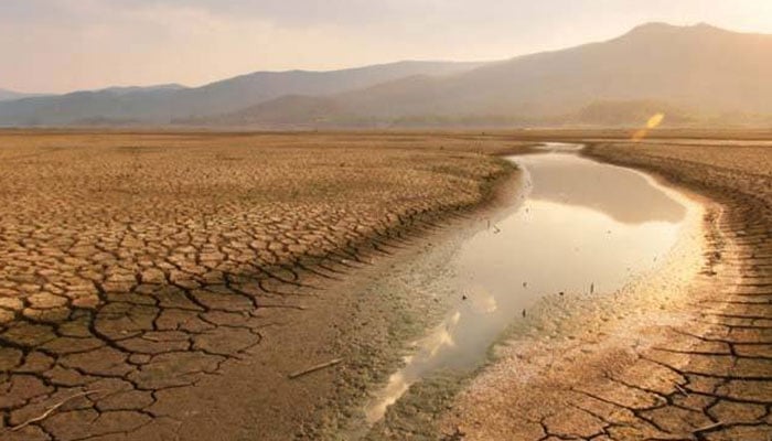 پیاسا چولستان: ایک خاموش انسانی بحران