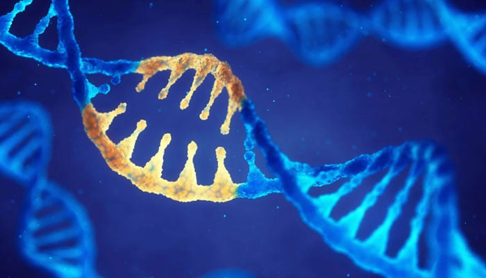 بچّوں میں یہ مرض پیدا ئشی طور پر’’ لیمن اے‘‘ جین میں بگاڑ کے سبب لا حق ہوتا ہے، ریورس انجینئرنگ کے ذریعے اس کا علاج دریافت کرنے کی کوشش کی گئی ہے۔