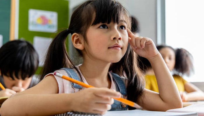 بوجھو تو یہ پہیلیاں