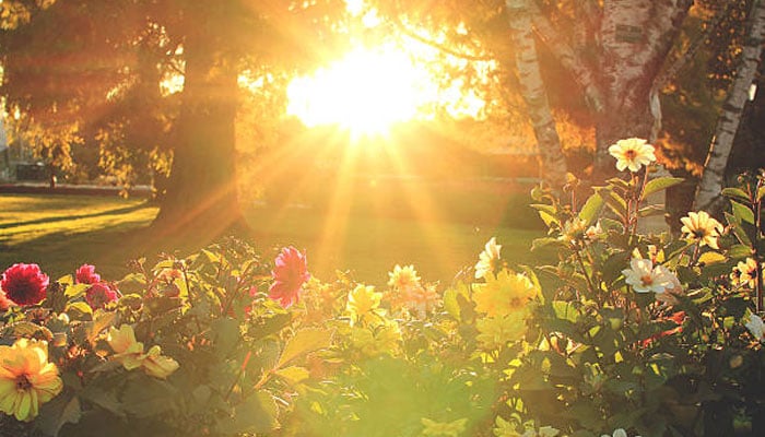 دائمی جنتری میں زوال کا وقت