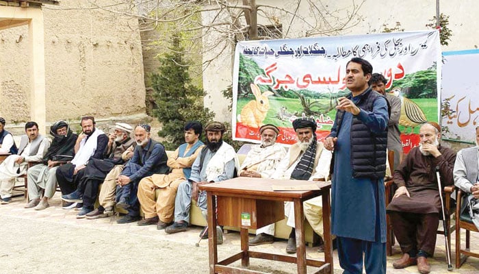 زیارت: ایشیا میں صنوبر کا دوسرا بڑا جنگل خطرات سے دوچار