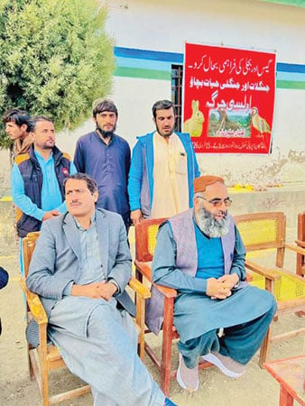 زیارت: ایشیا میں صنوبر کا دوسرا بڑا جنگل خطرات سے دوچار