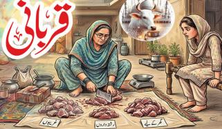 Urdu Digest