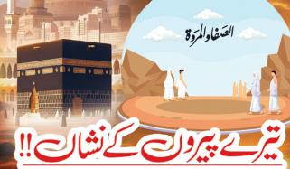 Urdu Digest